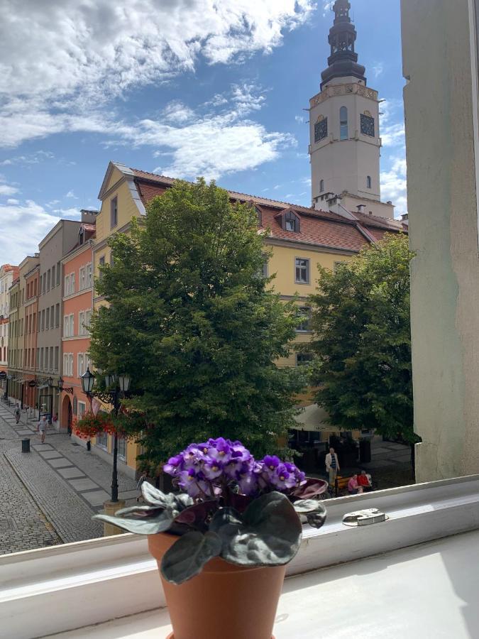 Rynekart Apartment Swidnica  Exterior photo